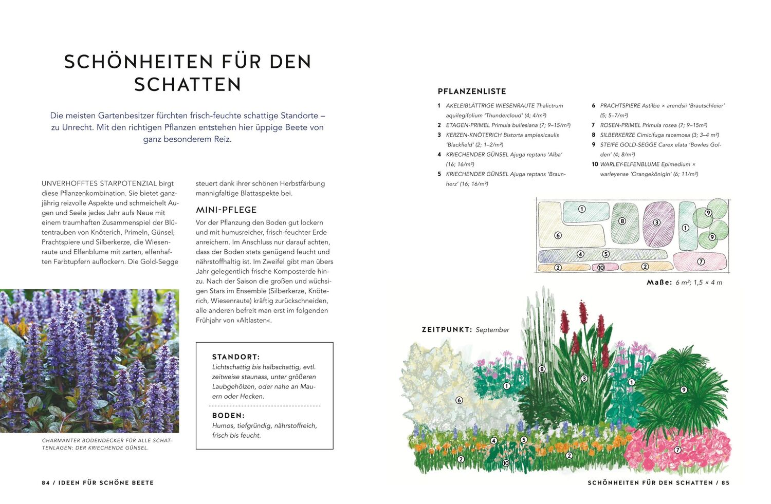 Bild: 9783833867538 | Schöne Beete für Faule | Lars Weigelt | Taschenbuch | GU Garten extra