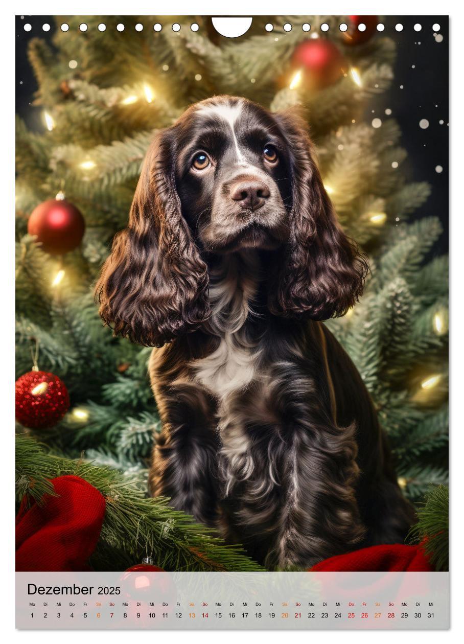 Bild: 9783383765322 | Cocker Spaniel - ein Hund für die Familie (Wandkalender 2025 DIN A4...