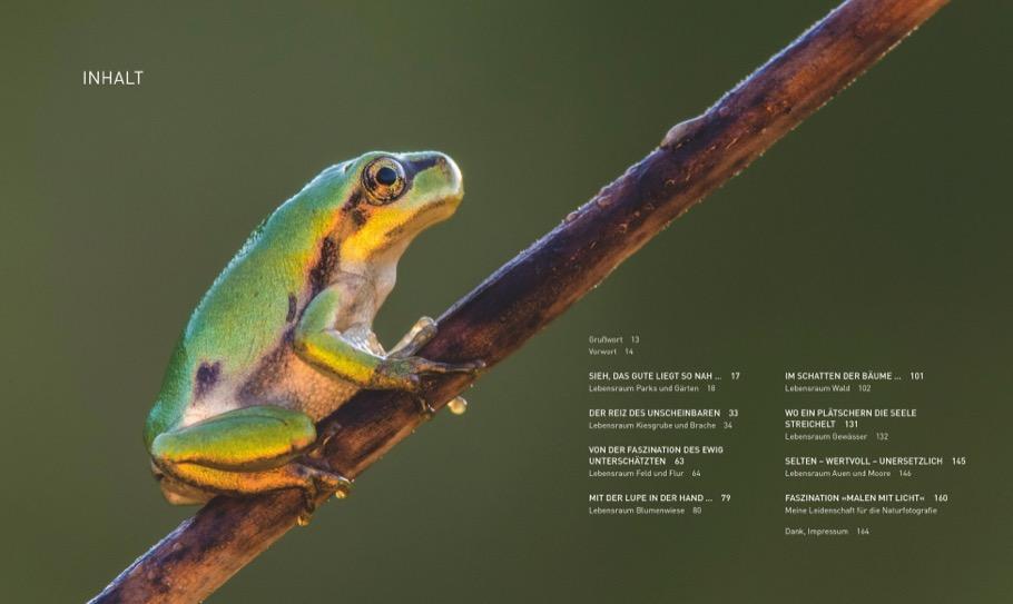 Bild: 9783862467372 | Verborgene Wildnis Bayern | Faszinierende Natur vor unserer Haustür