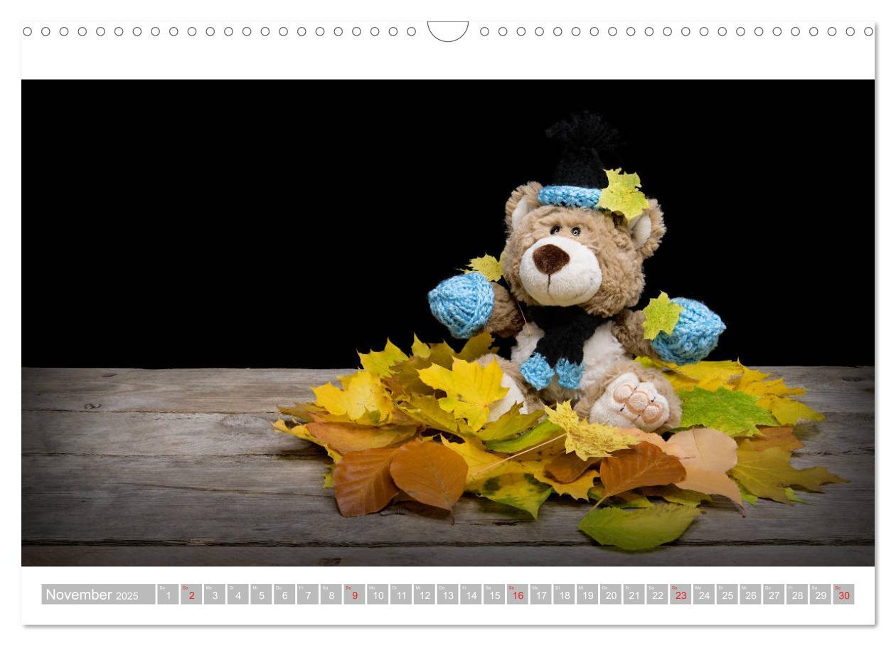 Bild: 9783435253432 | Eddy, der Teddy - 12 Bilder zum Schmunzeln (Wandkalender 2025 DIN...