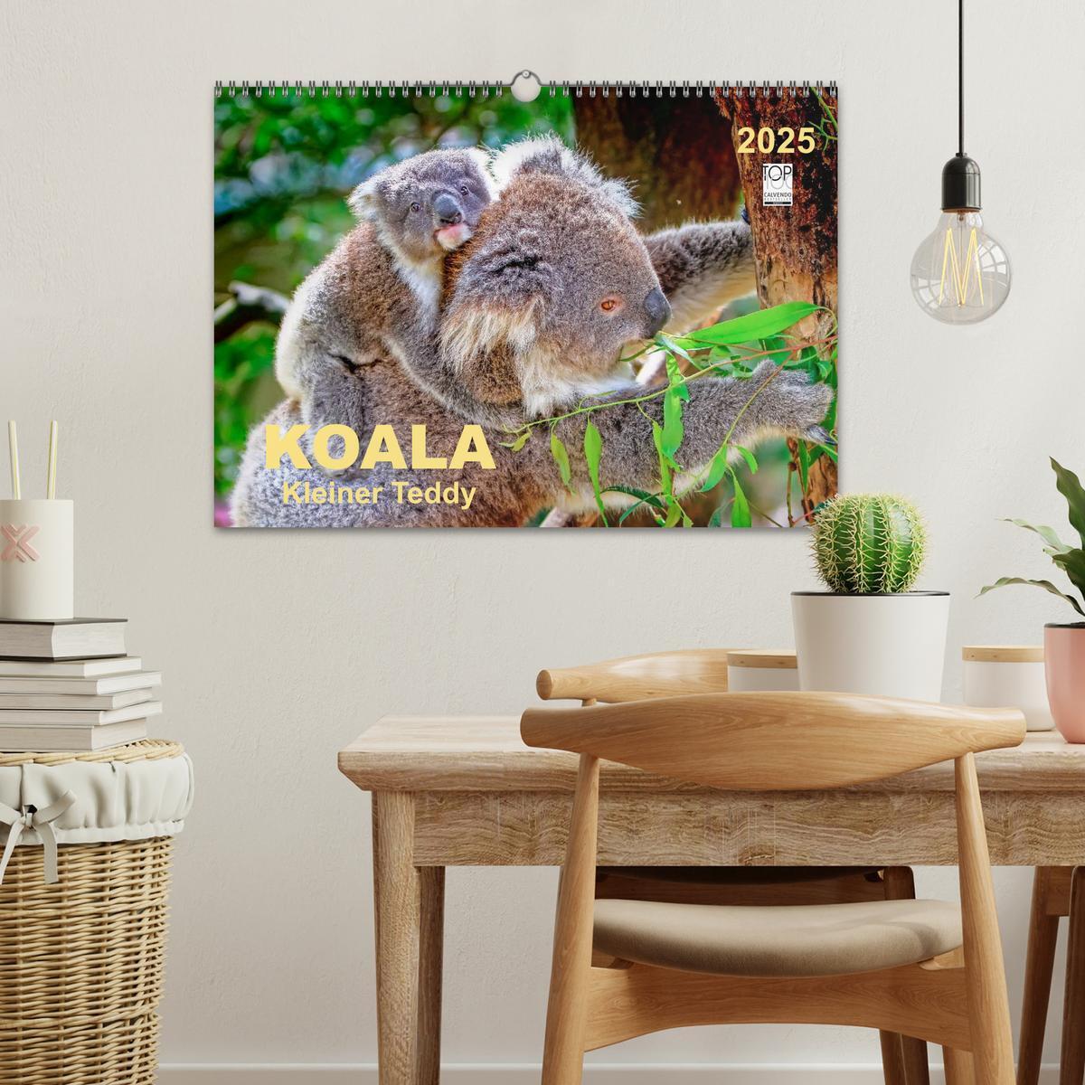 Bild: 9783435588329 | Koala - kleiner Teddy (Wandkalender 2025 DIN A3 quer), CALVENDO...