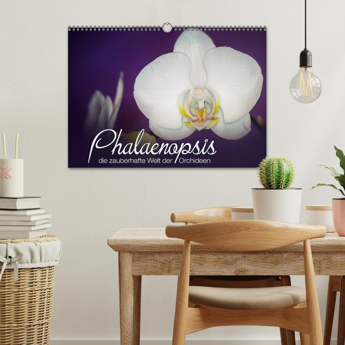 Bild: 9783435689361 | Phalaenopsis - die zauberhafte Welt der Orchideen (Wandkalender...