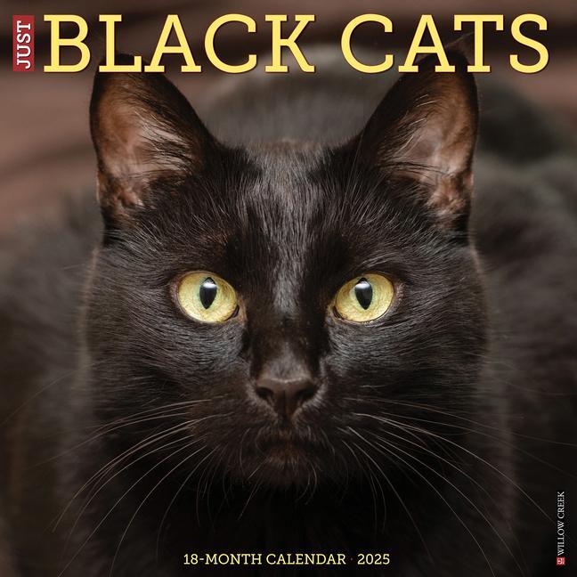 Cover: 9781549241833 | Just Black Cats 2025 12 X 12 Wall Calendar | Willow Creek Press | 2025