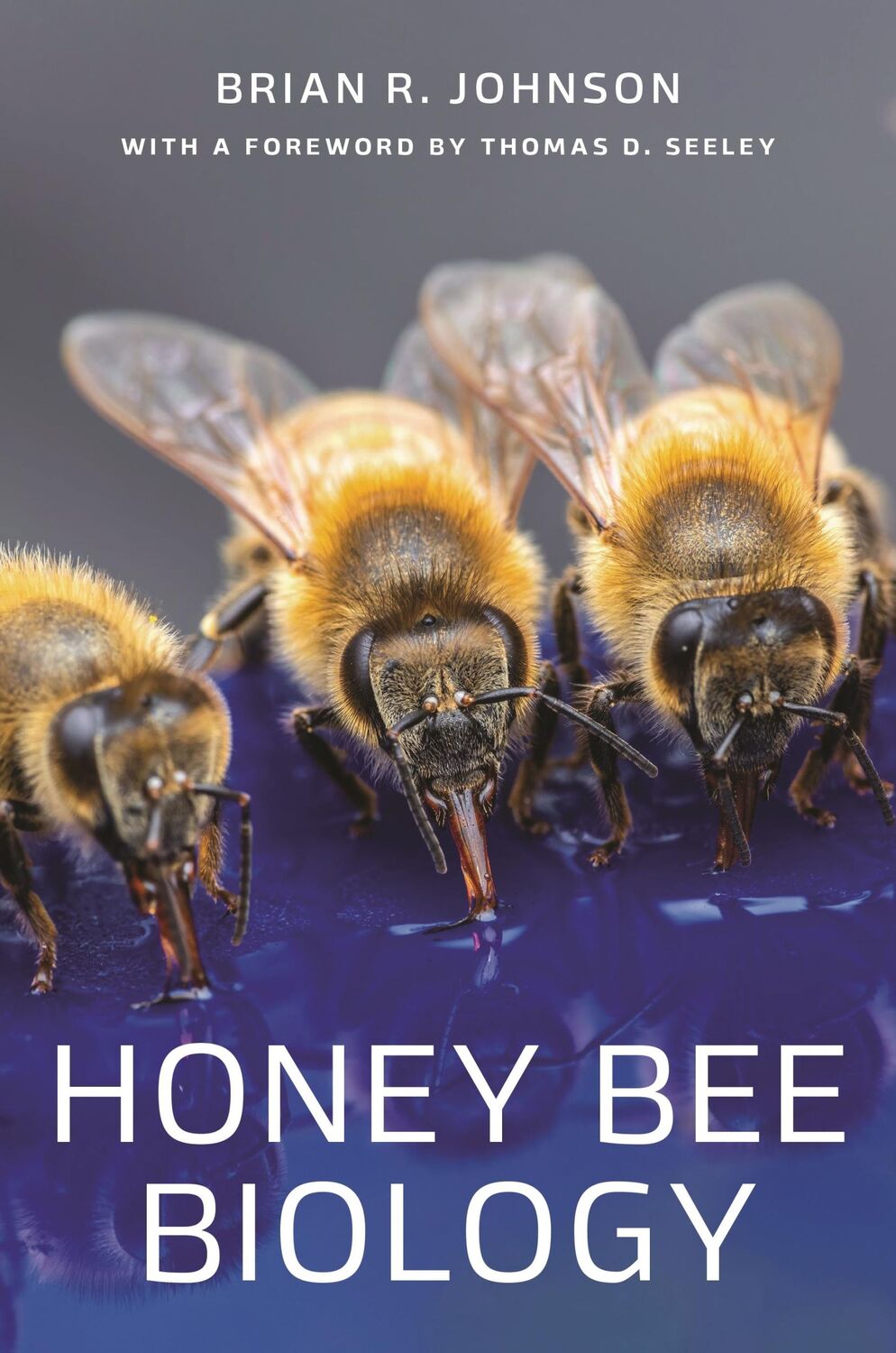 Cover: 9780691204888 | Honey Bee Biology | Brian R. Johnson | Buch | Gebunden | Englisch