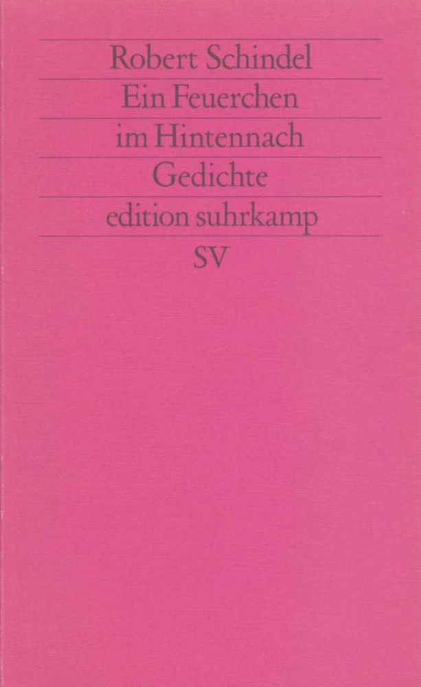 Cover: 9783518117750 | Ein Feuerchen im Hintennach | Gedichte 1986-1991 | Robert Schindel