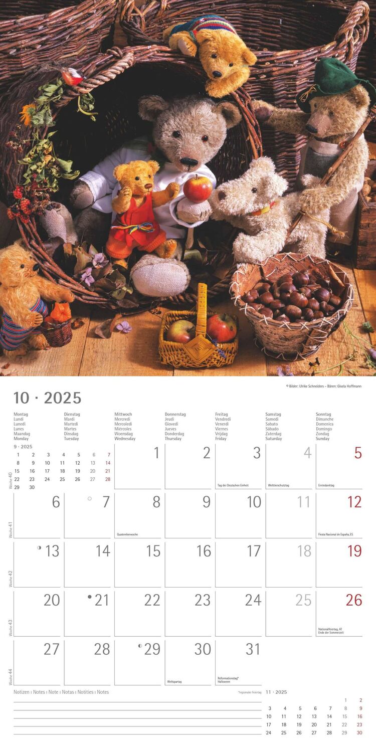 Bild: 4251732340643 | Teddy 2025 - Broschürenkalender 30x30 cm (30x60 geöffnet) -...