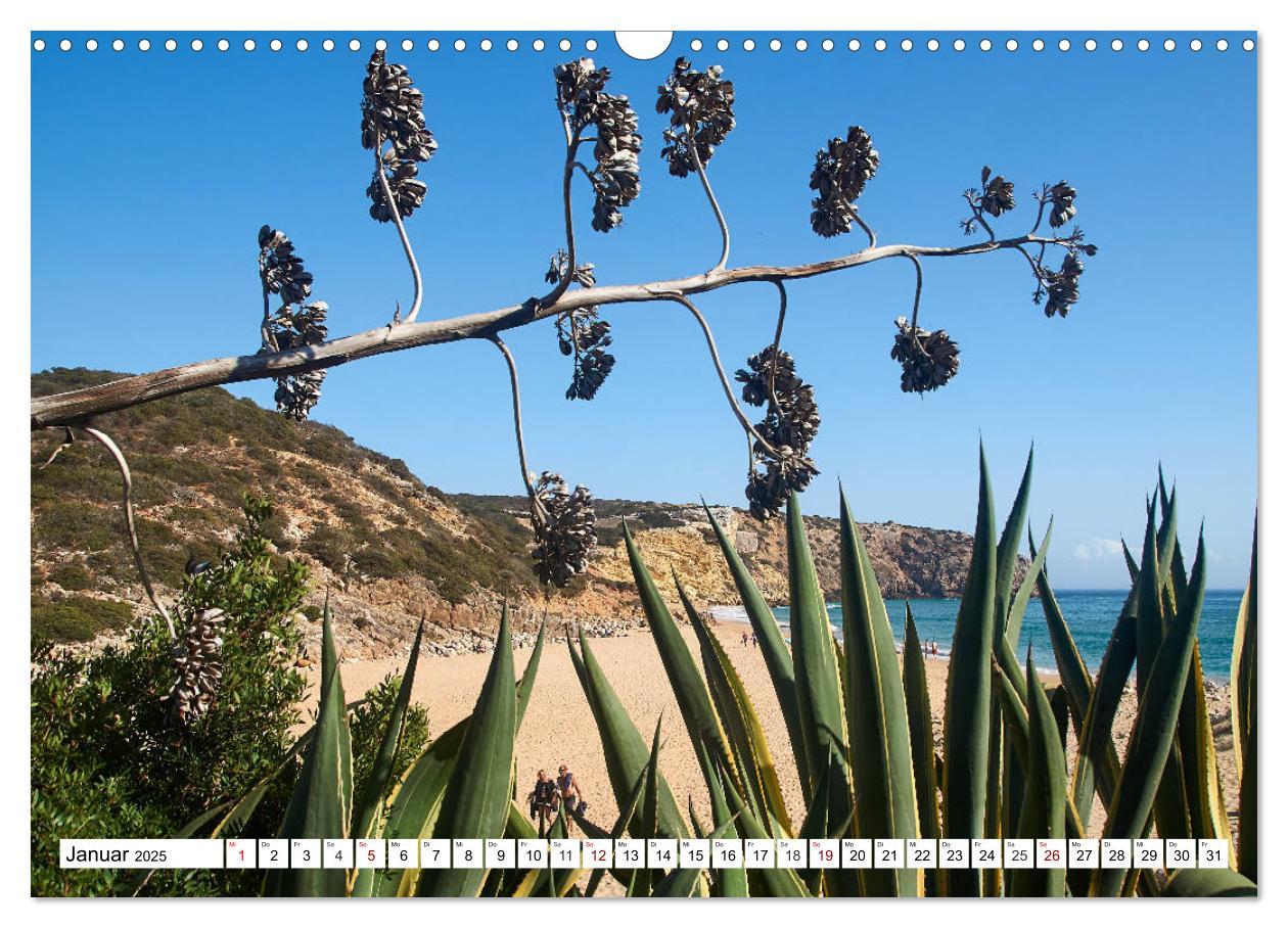 Bild: 9783435142392 | Algarve - Die schönste Küste Europas (Wandkalender 2025 DIN A3...