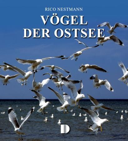 Cover: 9783910150942 | Vögel der Ostsee | Rico Nestmann | Buch | 160 S. | Deutsch | 2012