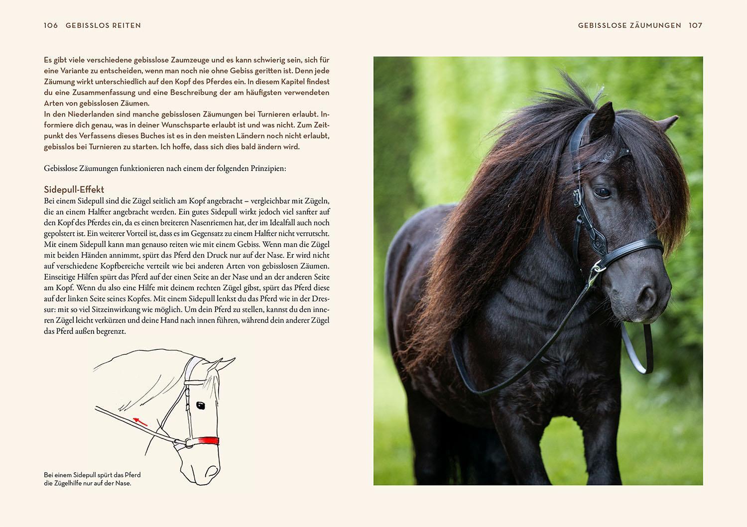 Bild: 9783440179956 | Gebisslos Reiten | Jesse Drent | Buch | 224 S. | Deutsch | 2024