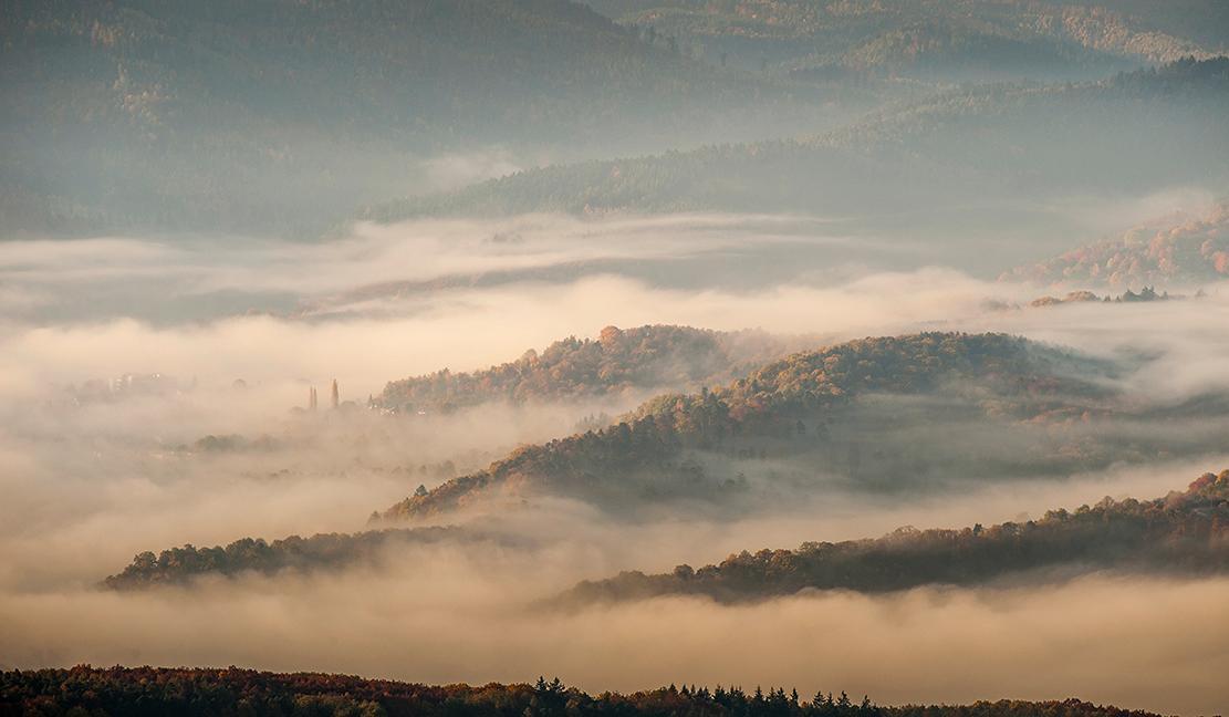 Bild: 9783981088267 | NATURERLEBNIS WILDER SCHWARZWALD | Das lebendige Mittelgebirge | Buch