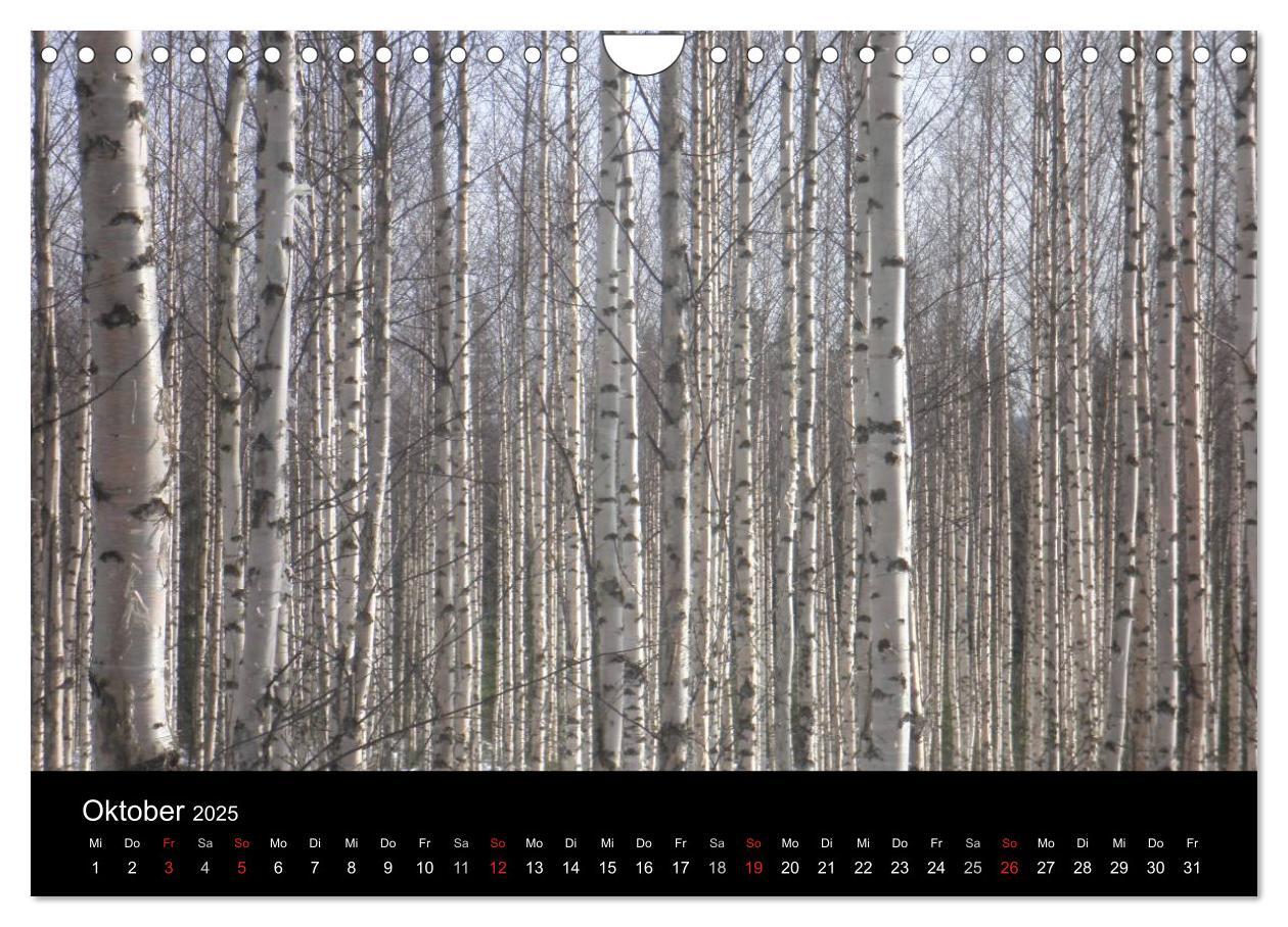 Bild: 9783435648573 | Wunderschönes Finnland (Wandkalender 2025 DIN A4 quer), CALVENDO...