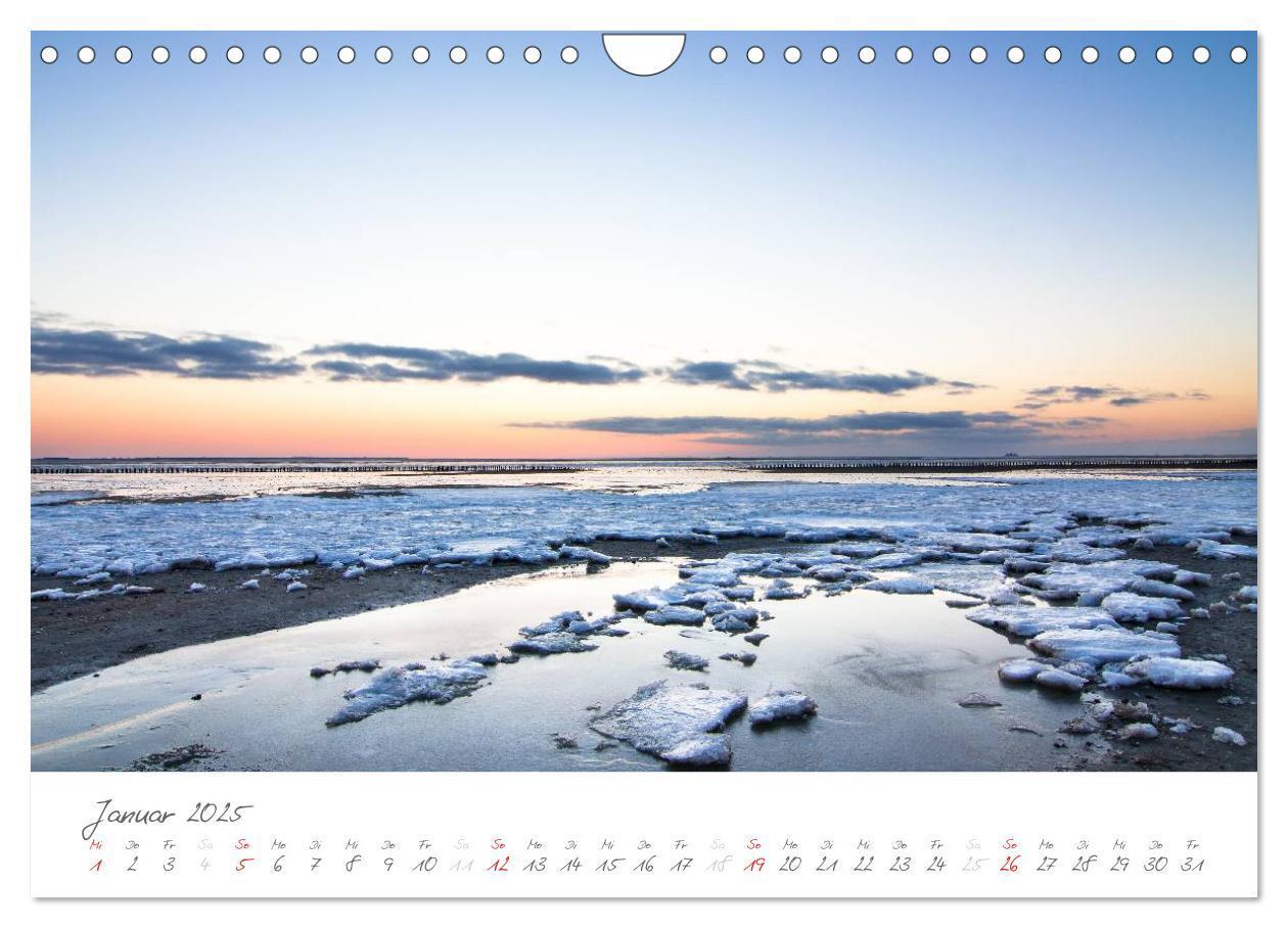 Bild: 9783435601738 | Amrum - Eine farbenfrohe Insellandschaft (Wandkalender 2025 DIN A4...