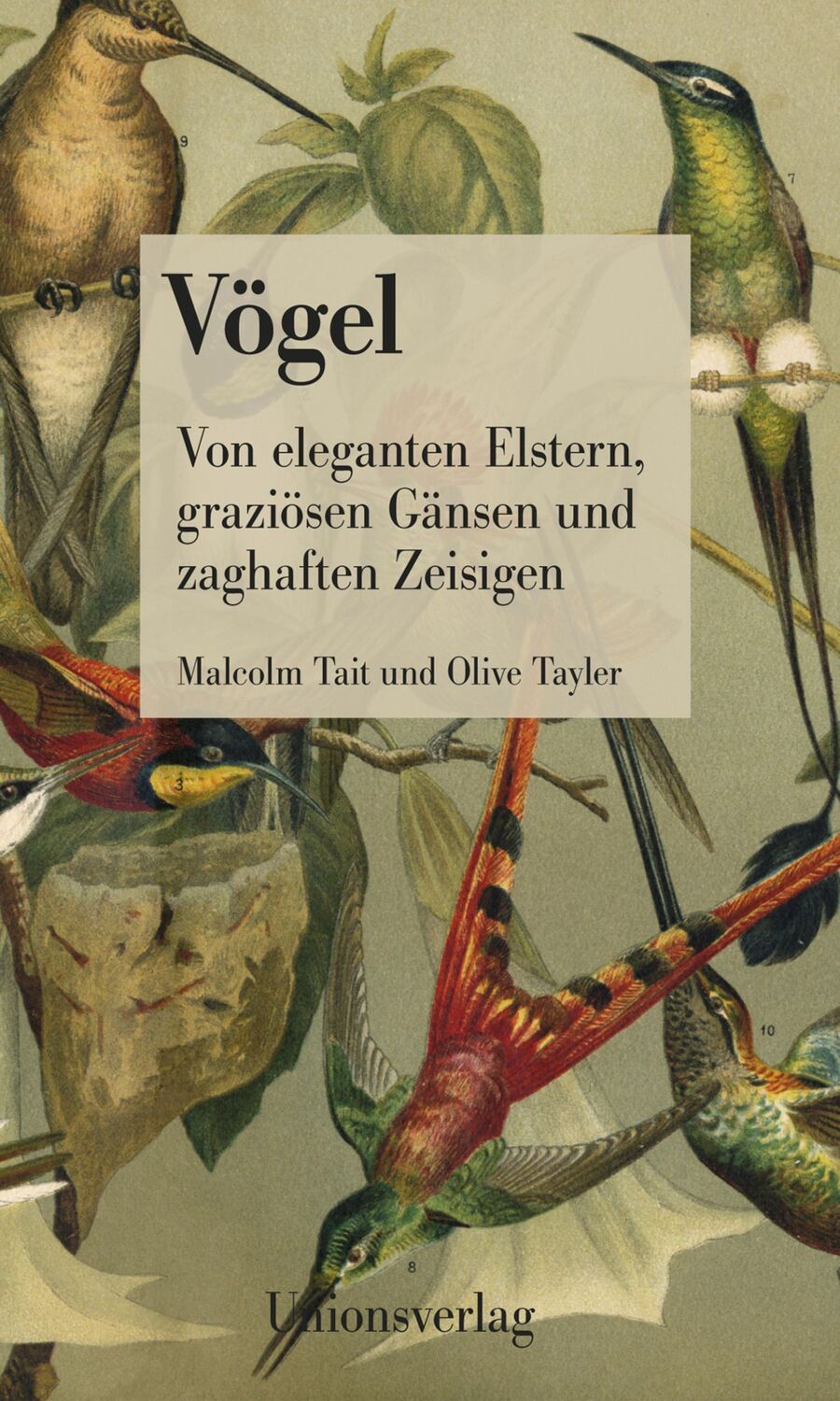 Cover: 9783293004818 | Vögel | Von eleganten Elstern, graziösen Gänsen und zaghaften Zeisigen