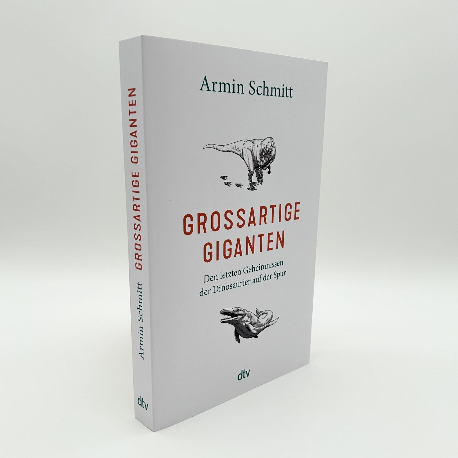 Bild: 9783423352079 | Großartige Giganten | Armin Schmitt | Taschenbuch | 352 S. | Deutsch