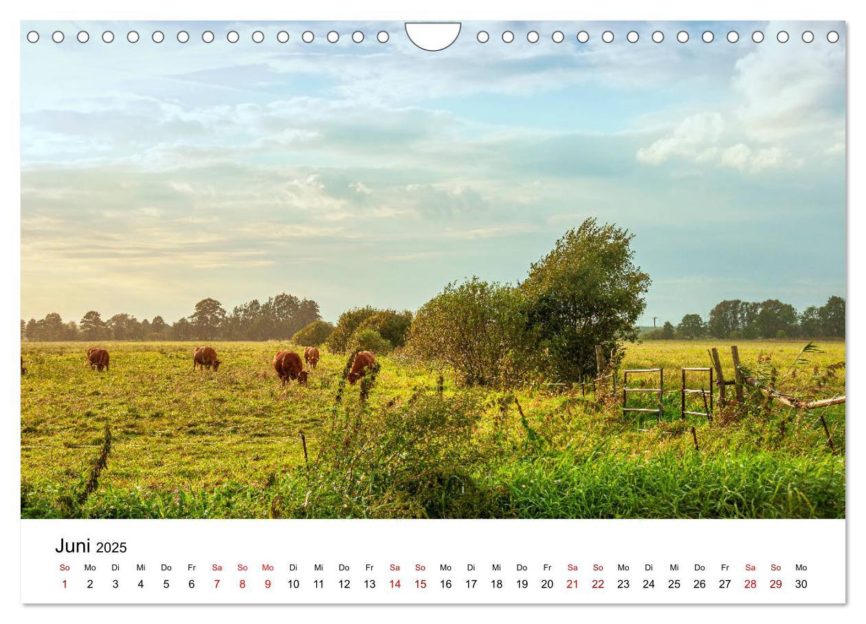 Bild: 9783435201105 | Unterwegs im Spreewald (Wandkalender 2025 DIN A4 quer), CALVENDO...