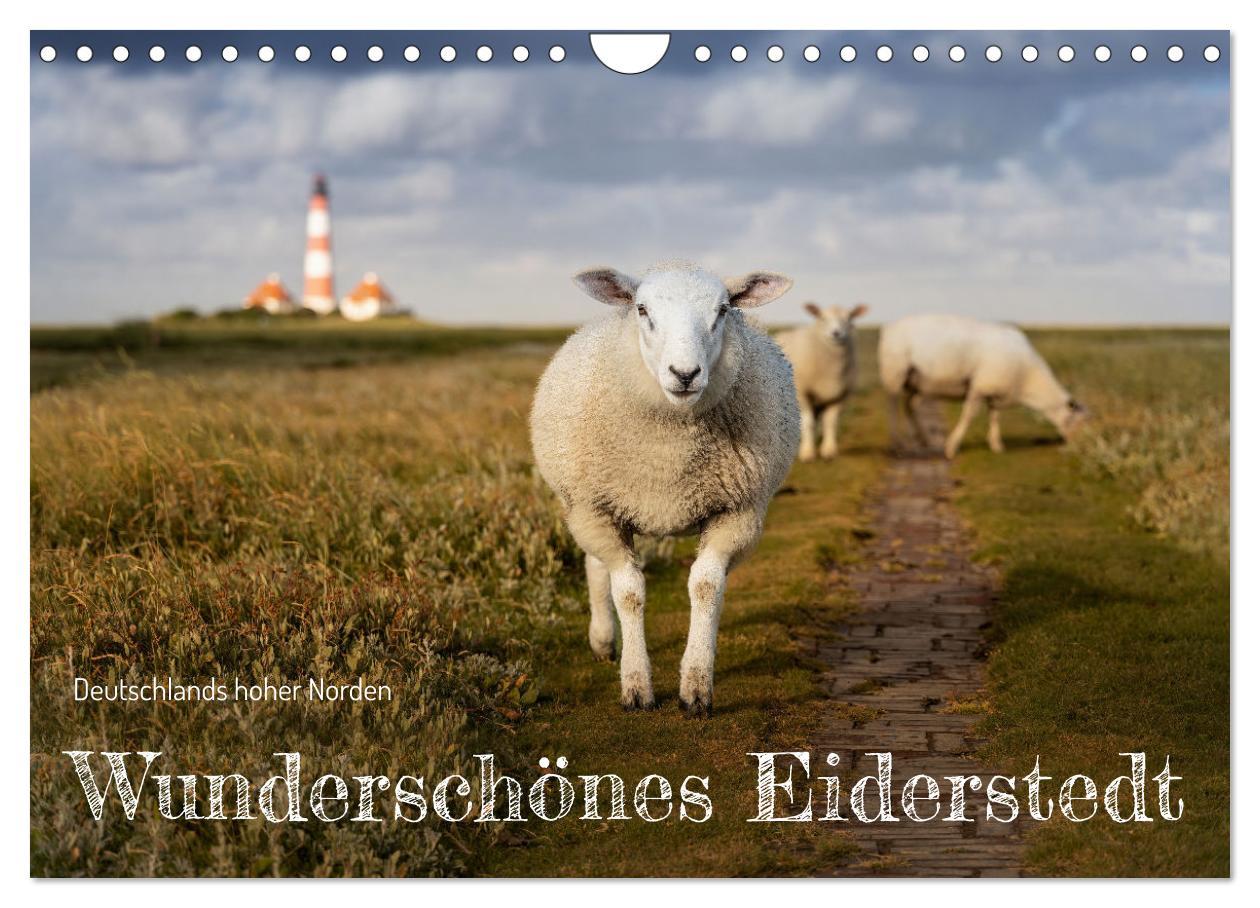 Cover: 9783383951800 | Wunderschönes Eiderstedt (Wandkalender 2025 DIN A4 quer), CALVENDO...