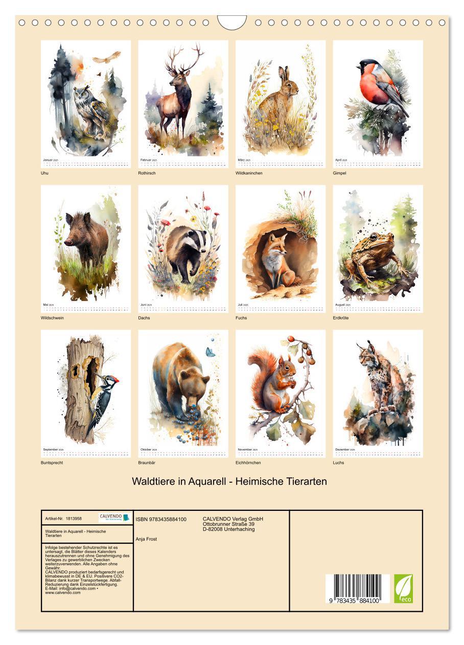 Bild: 9783435884100 | Waldtiere in Aquarell - Heimische Tierarten (Wandkalender 2025 DIN...