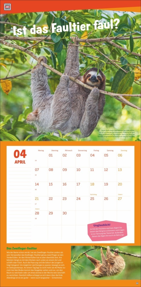 Bild: 9783756405541 | WAS IST WAS Tierwelt Broschurkalender 2025 | Kalender | 28 S. | 2025