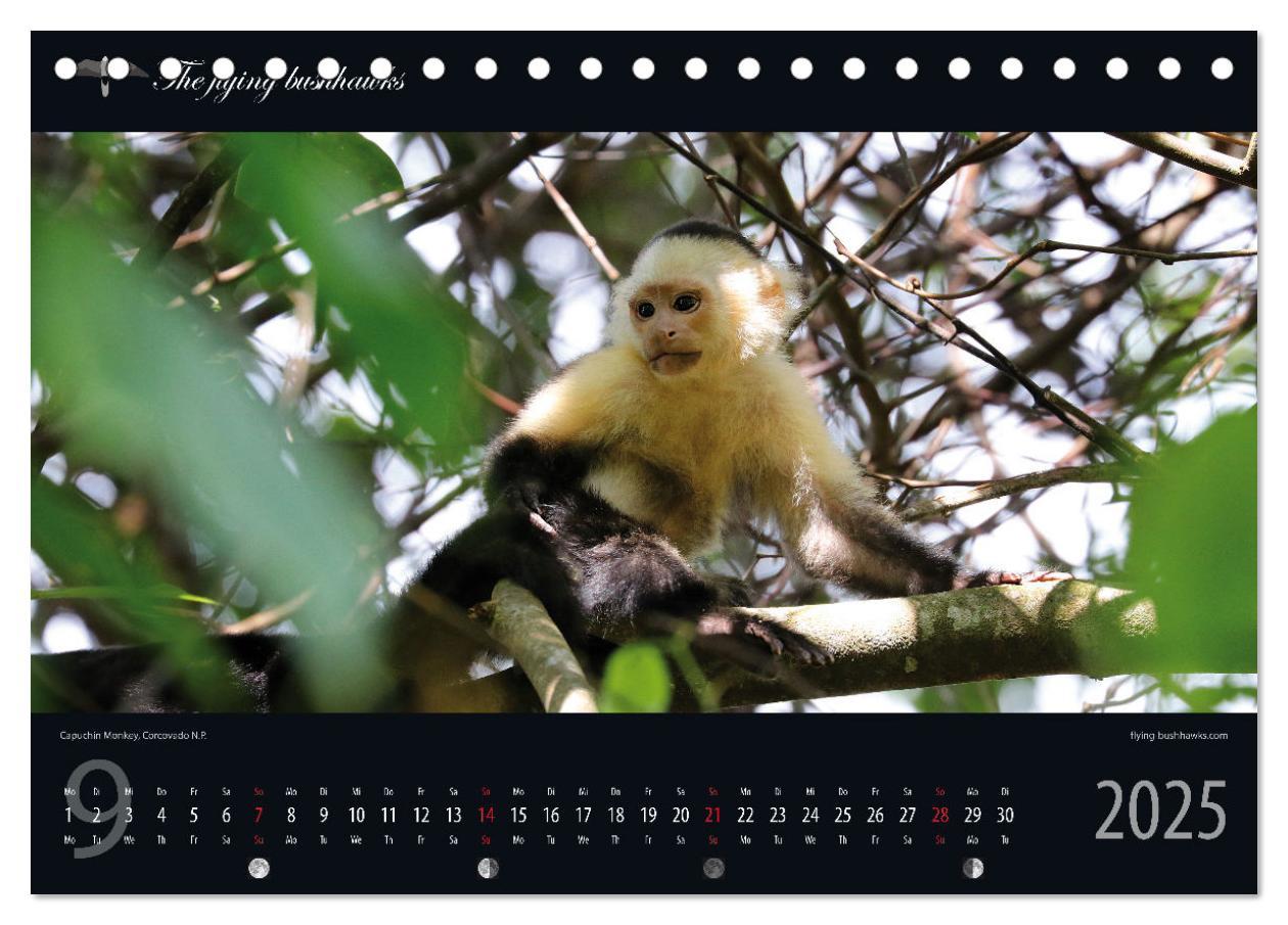 Bild: 9783383815362 | Costa Rica Blickwinkel 2025 (Tischkalender 2025 DIN A5 quer),...