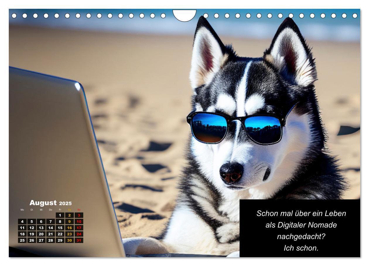 Bild: 9783435639878 | Der tierisch lustige Husky Kalender (Wandkalender 2025 DIN A4...