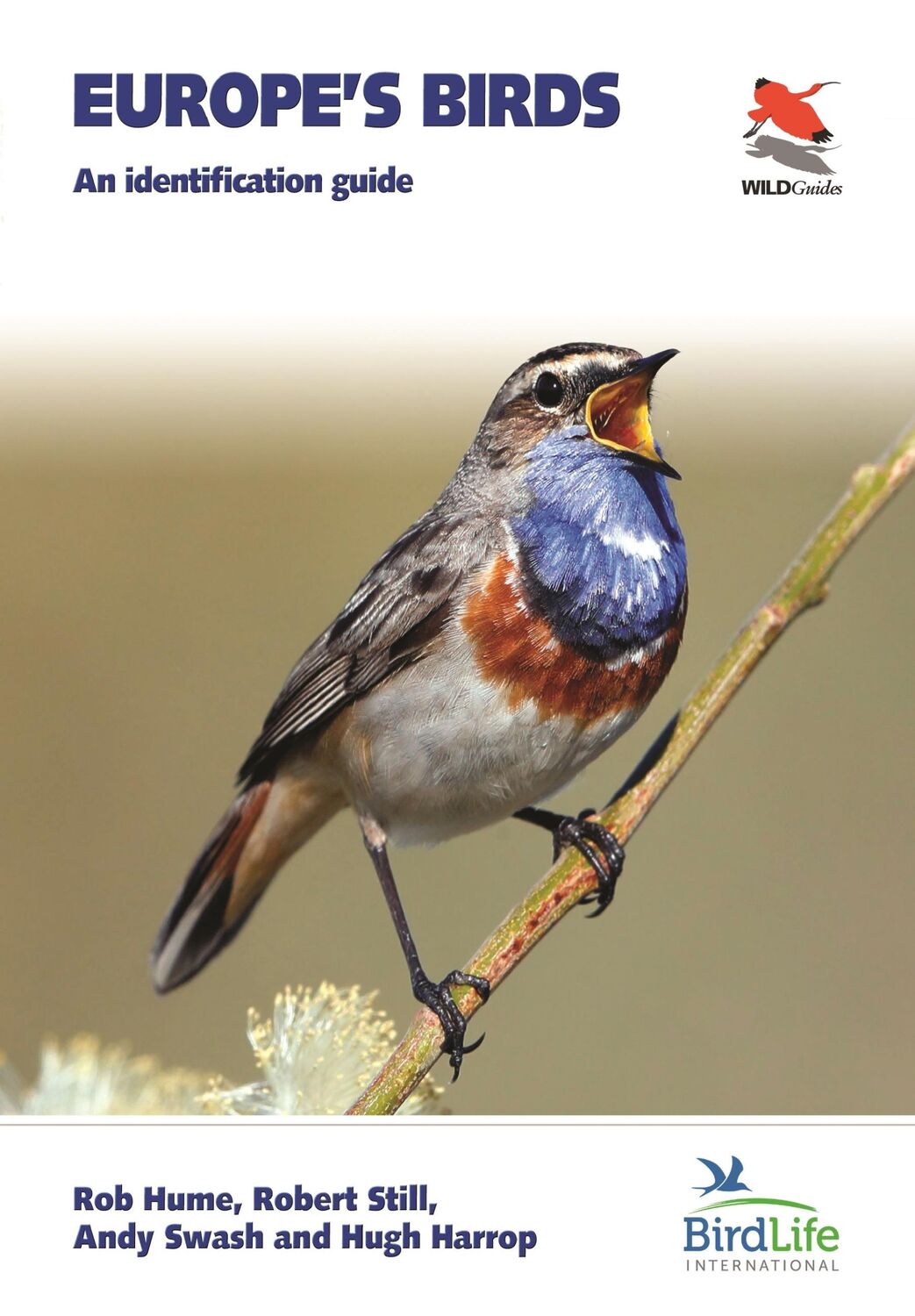 Cover: 9780691177656 | Europe's Birds | An Identification Guide | Andy Swash (u. a.) | Buch