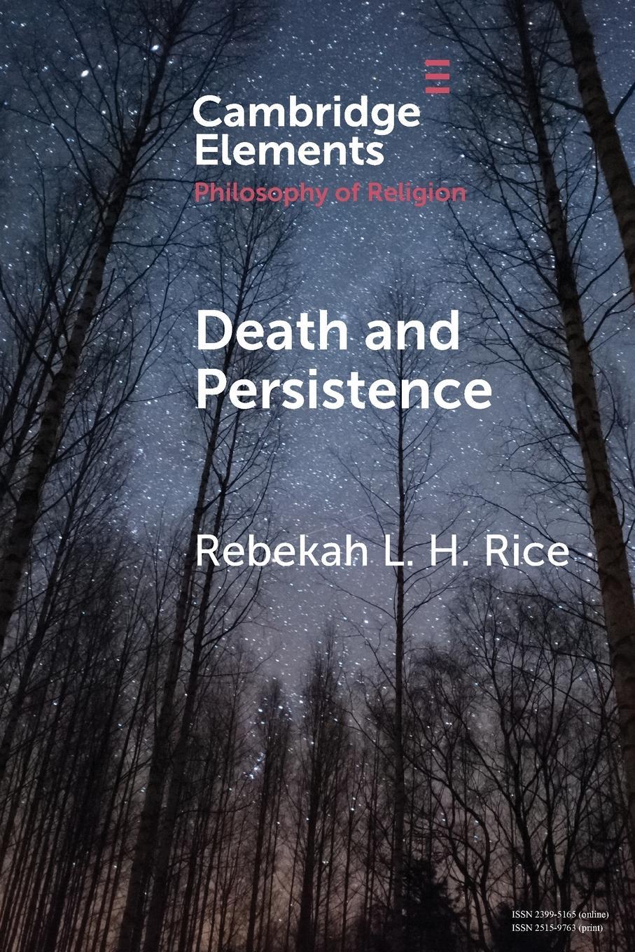 Cover: 9781108723428 | Death and Persistence | Rebekah L. H. Rice | Taschenbuch | Paperback