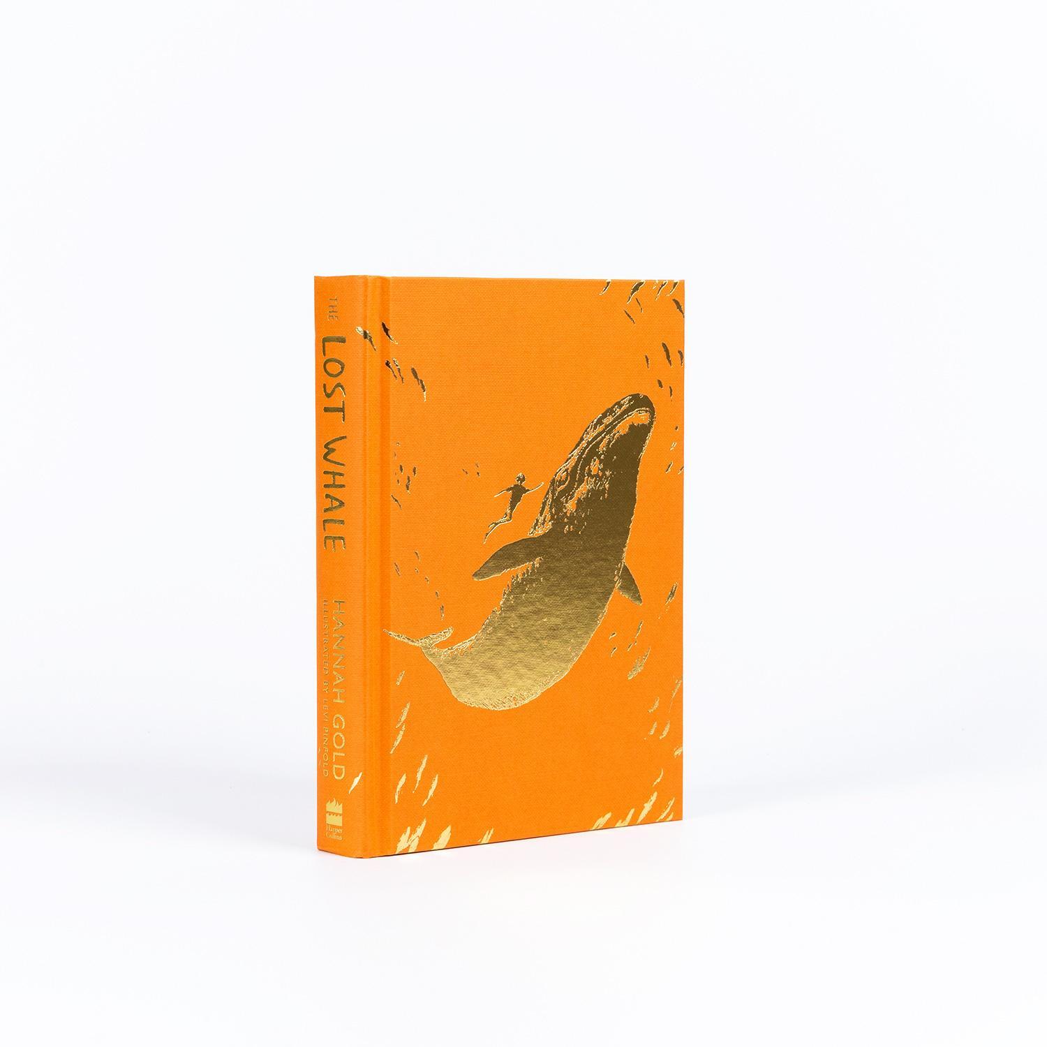 Bild: 9780008412968 | The Lost Whale | Hannah Gold | Taschenbuch | 336 S. | Englisch | 2023