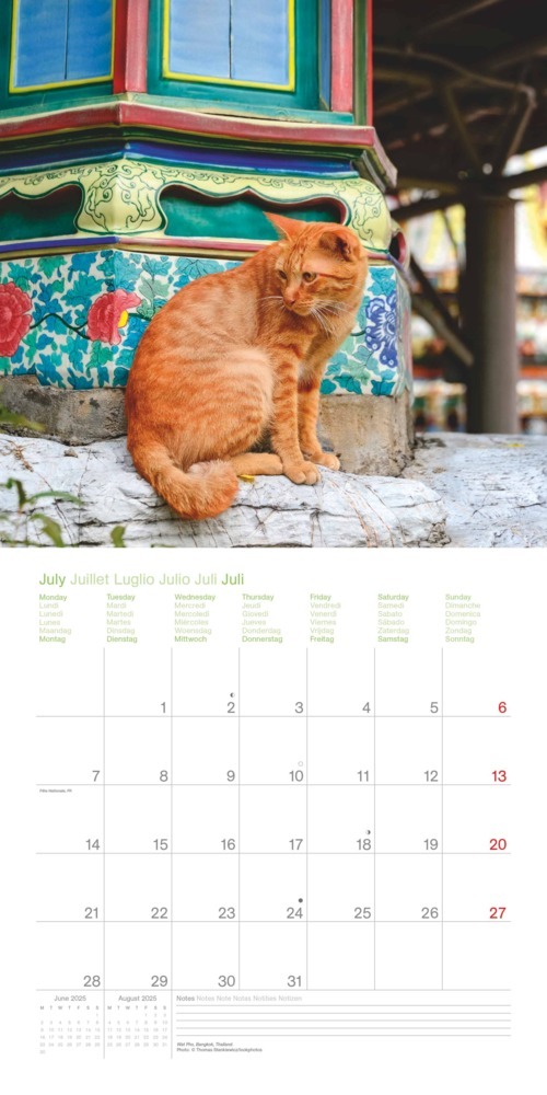 Bild: 4002725987945 | N NEUMANNVERLAGE - Cats Around the World 2025 Broschürenkalender,...