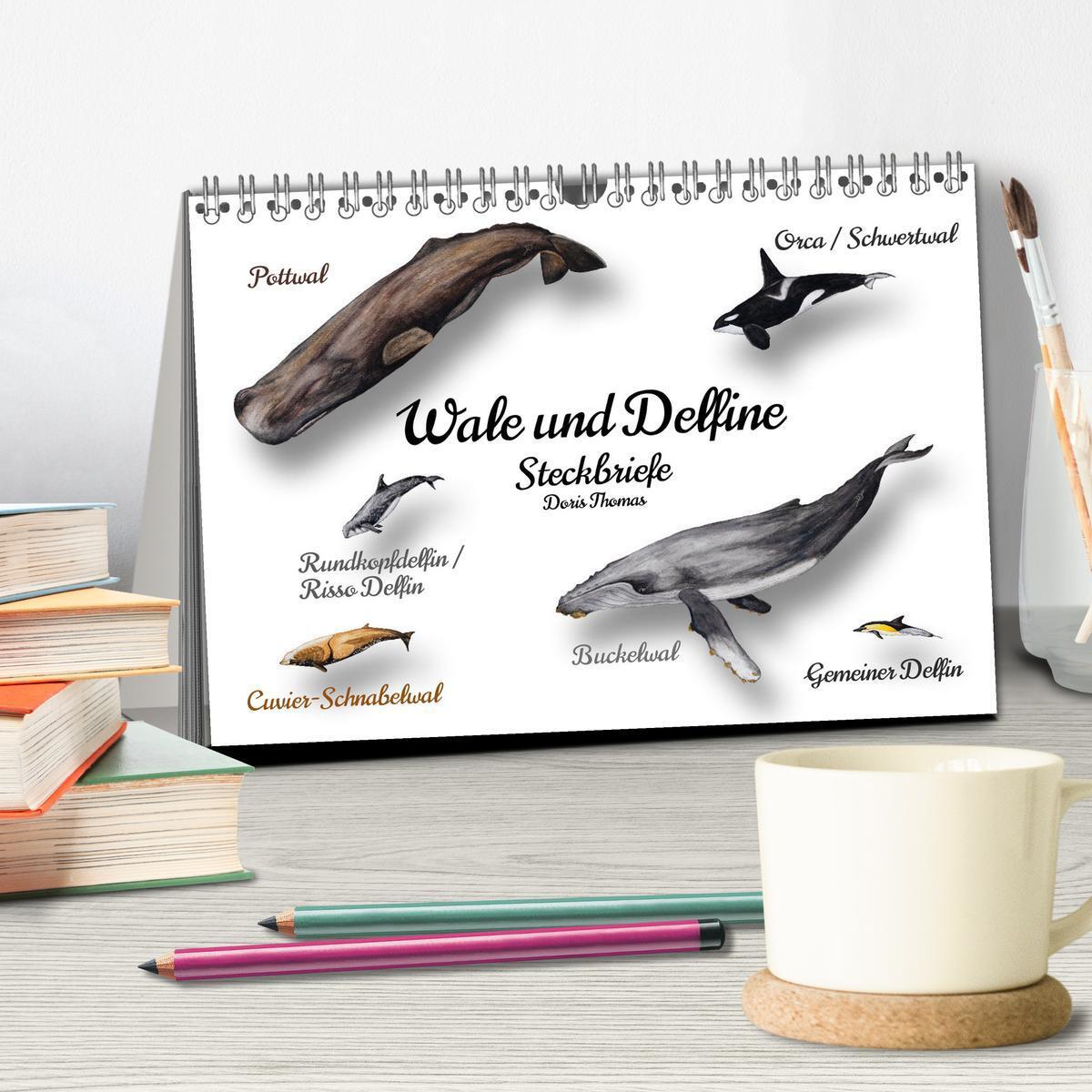 Bild: 9783457212868 | Wale und Delfine Steckbriefe (Tischkalender 2025 DIN A5 quer),...