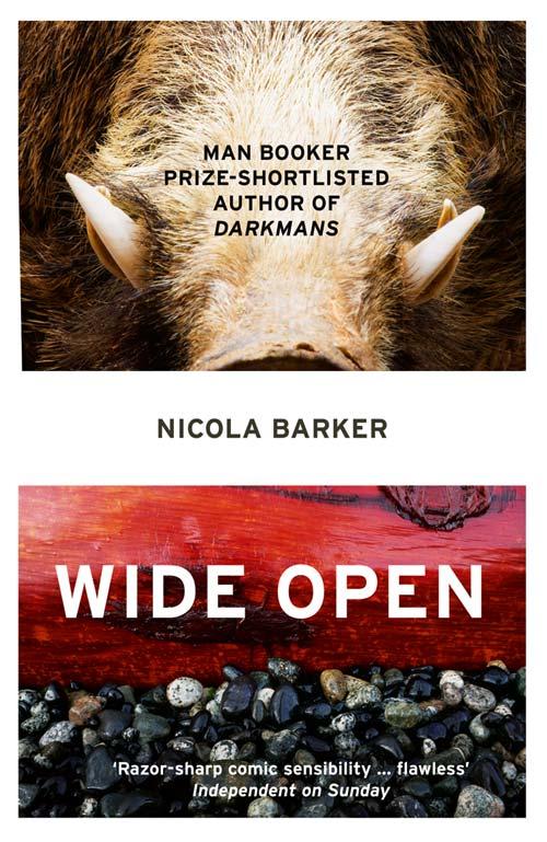 Cover: 9780007435722 | Wide Open | Nicola Barker | Taschenbuch | Kartoniert / Broschiert