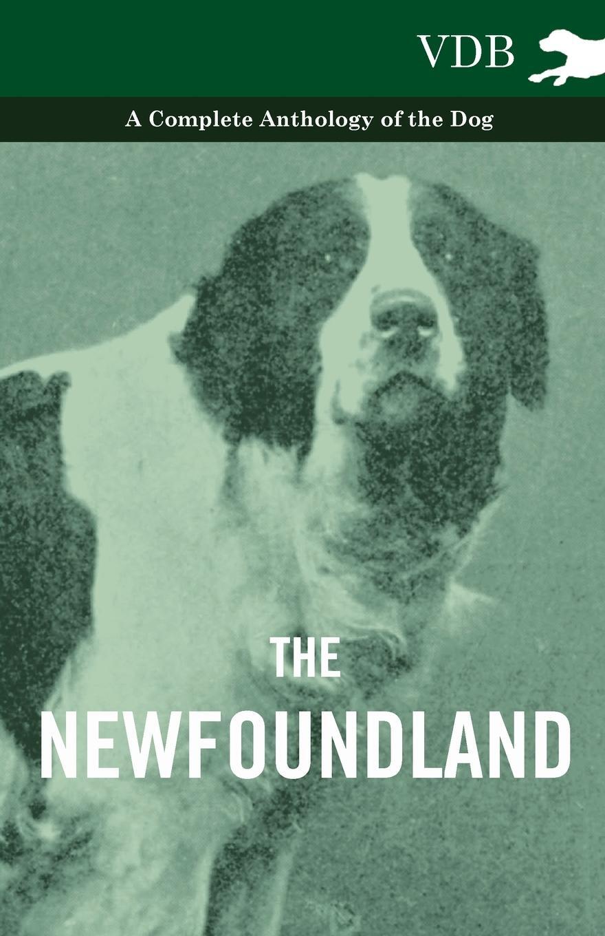 Cover: 9781445526331 | The Newfoundland - A Complete Anthology of the Dog | Various | Buch