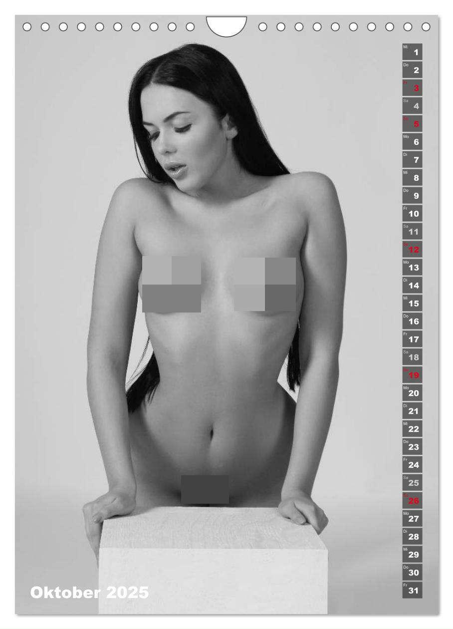 Bild: 9783435959181 | EROTIK FOTOART SEXY GIRLS (Wandkalender 2025 DIN A4 hoch), CALVENDO...