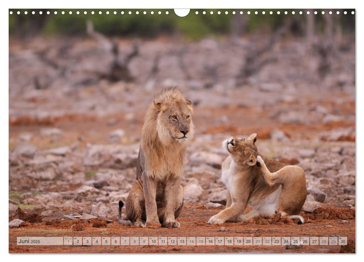 Bild: 9783435786572 | NAMIBIA Christian Heeb (Wandkalender 2025 DIN A3 quer), CALVENDO...