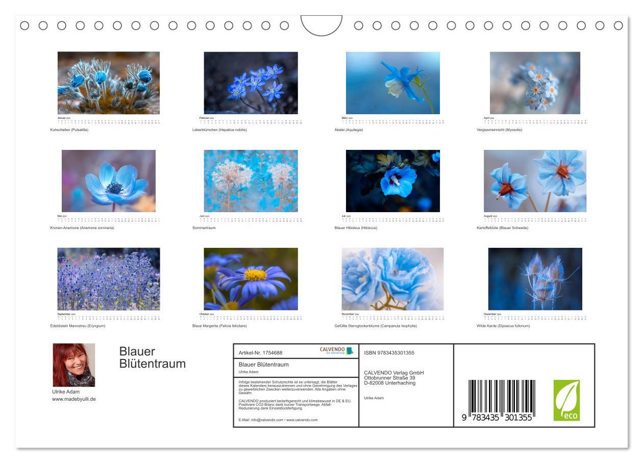 Bild: 9783435301355 | Blauer Blütentraum (Wandkalender 2025 DIN A4 quer), CALVENDO...