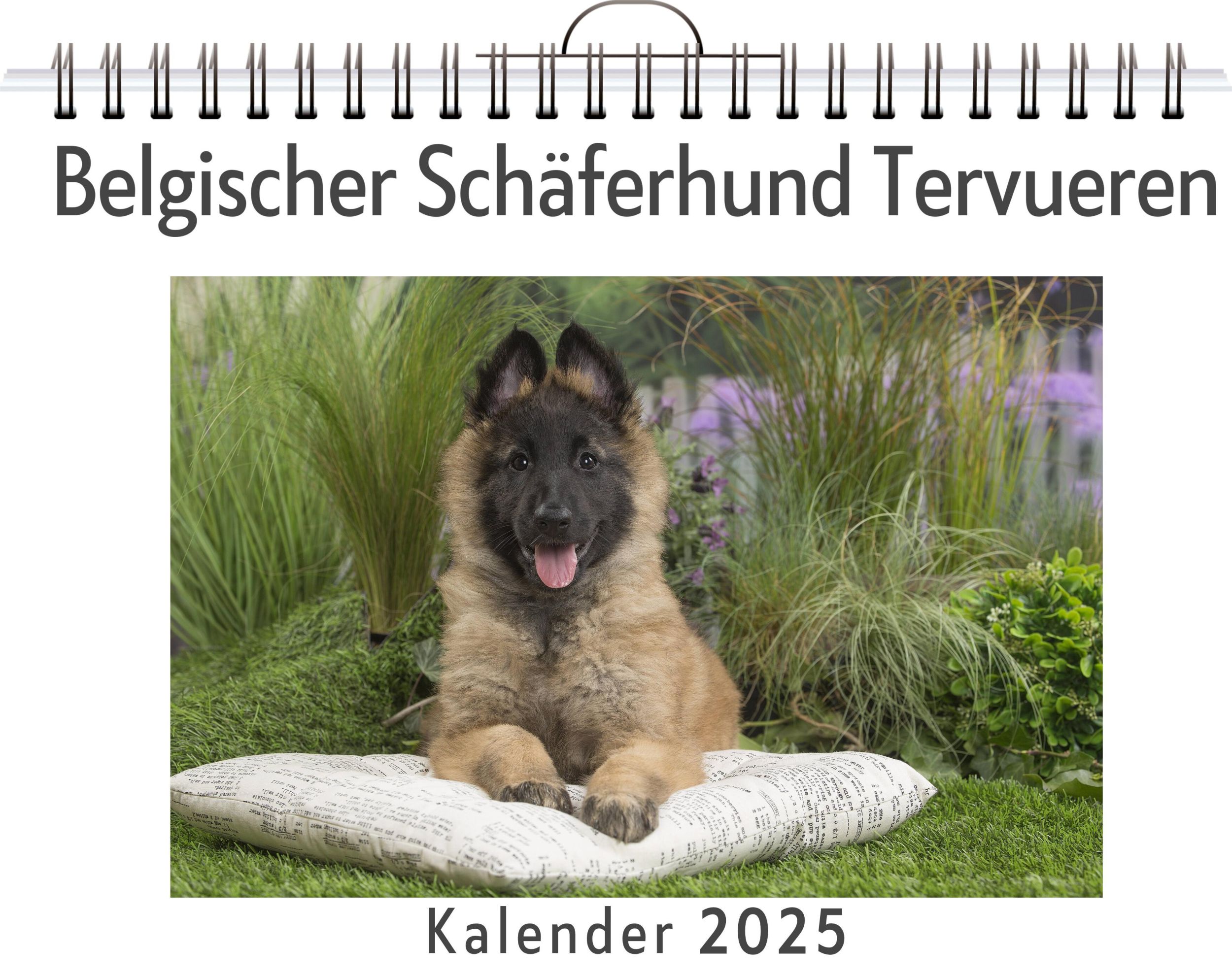 Cover: 9783759132871 | Belgischer Schäferhund Tervueren | Luca Fuchs | Kalender | Kalender