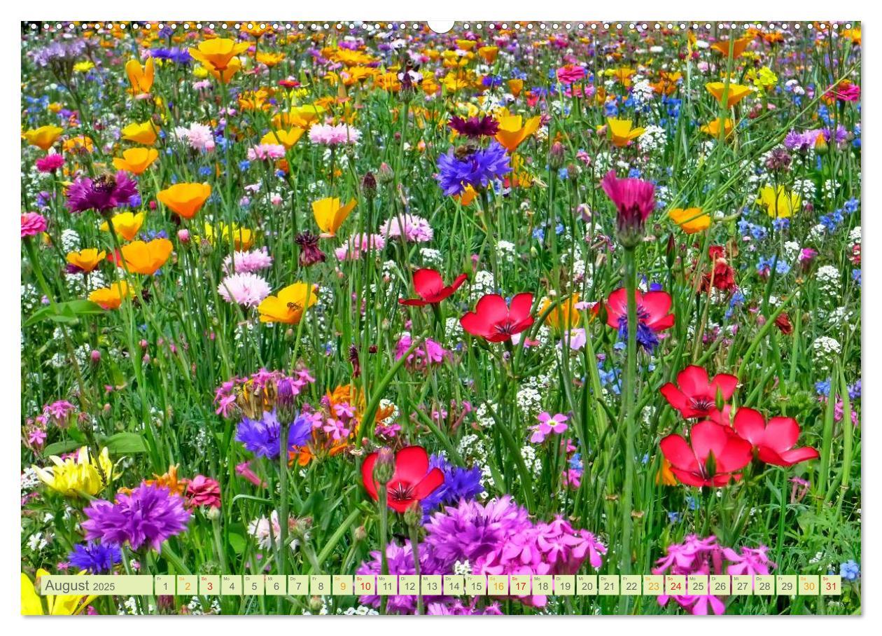 Bild: 9783435473083 | Blumenwiesen ¿ ein blütenzauberhaftes Jahr (Wandkalender 2025 DIN...