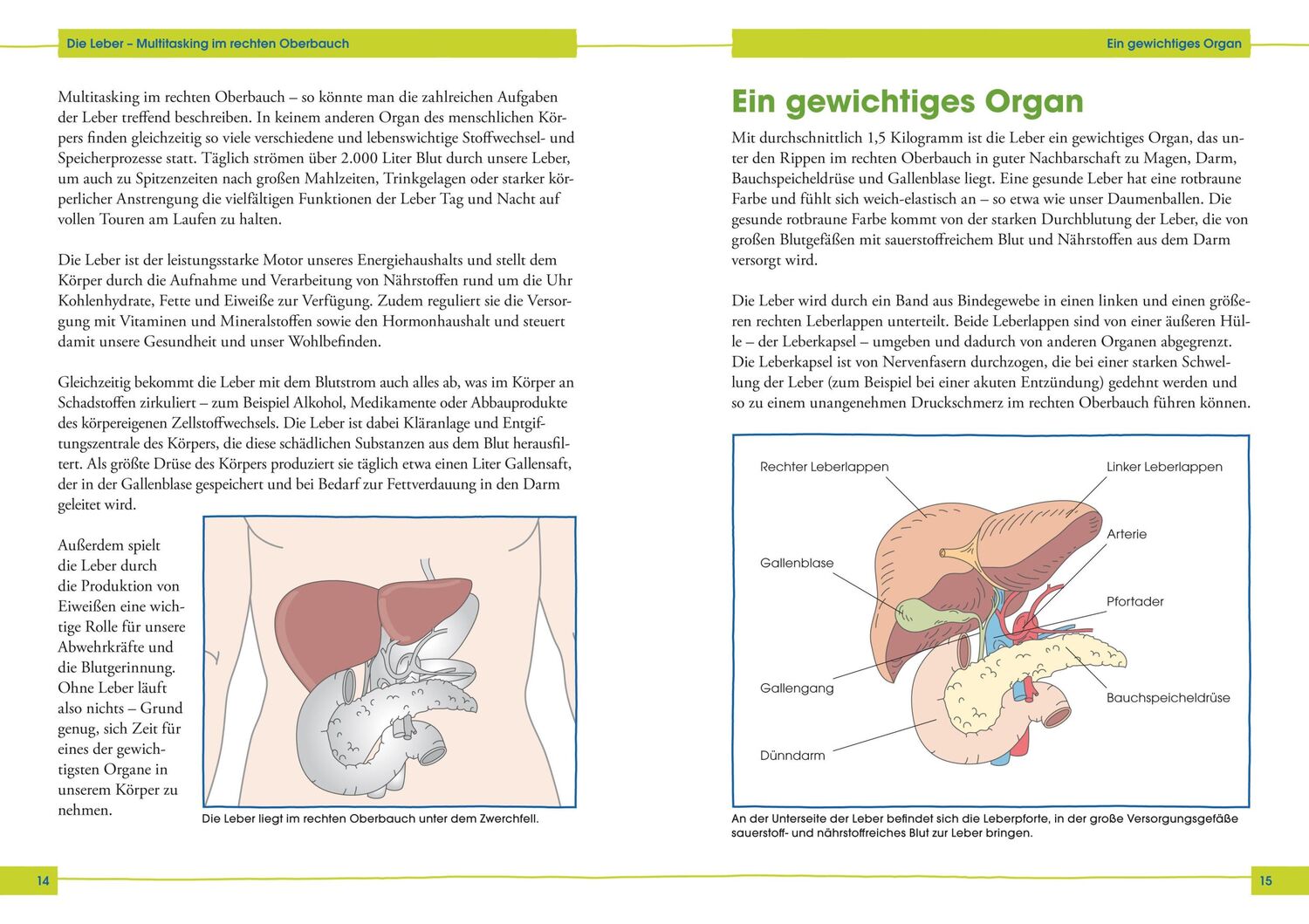 Bild: 9783517095448 | So kriegt die Leber ihr Fett weg! | Julia Seiderer-Nack | Taschenbuch