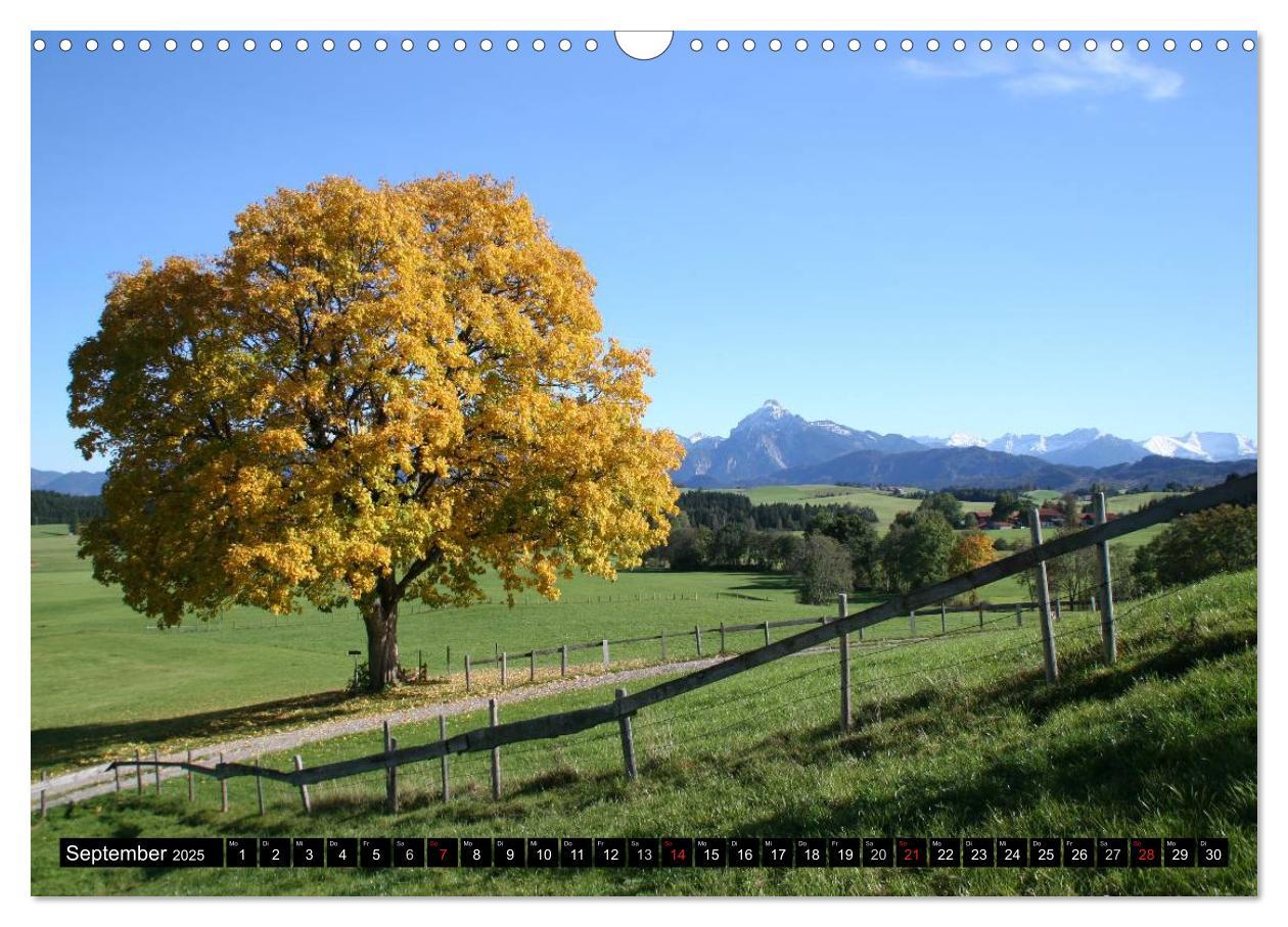 Bild: 9783435670444 | Ein Jahr im Allgäu (Wandkalender 2025 DIN A3 quer), CALVENDO...