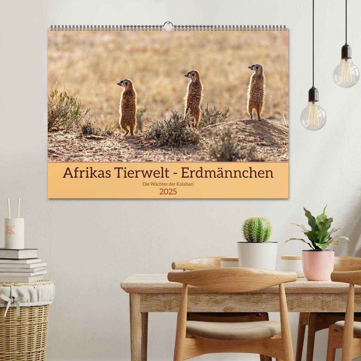 Bild: 9783383779336 | Afrikas Tierwelt - Erdmännchen (Wandkalender 2025 DIN A2 quer),...