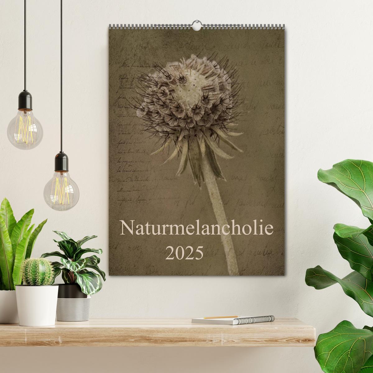 Bild: 9783457038338 | Naturmelancholie 2025 (Wandkalender 2025 DIN A2 hoch), CALVENDO...