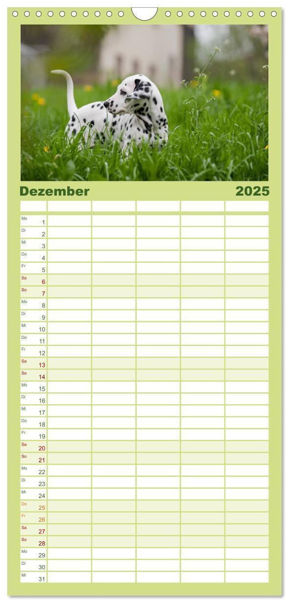 Bild: 9783457113578 | Familienplaner 2025 - Dalmatiner mit 5 Spalten (Wandkalender, 21 x...