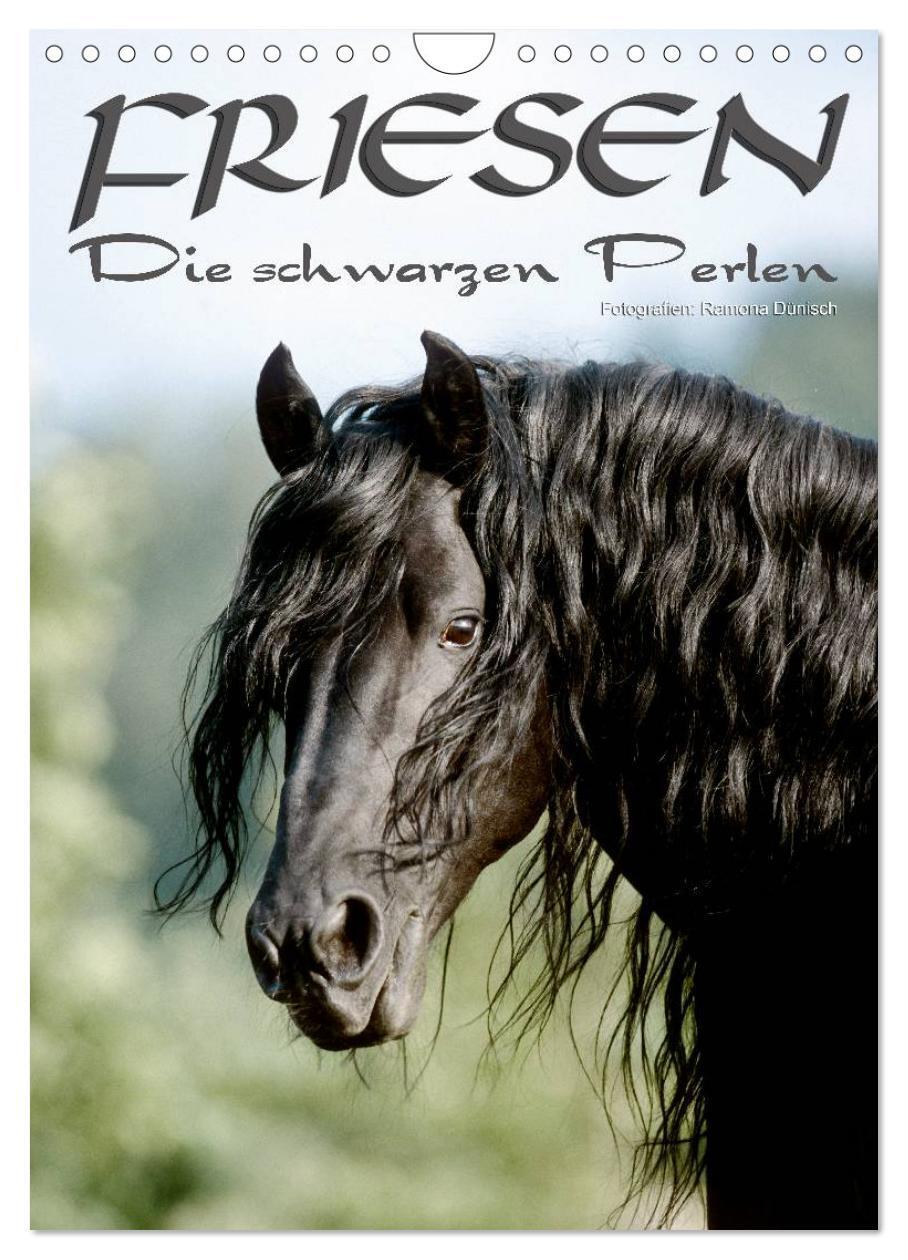 Cover: 9783457066805 | Friesen - die schwarzen Perlen (Wandkalender 2025 DIN A4 hoch),...