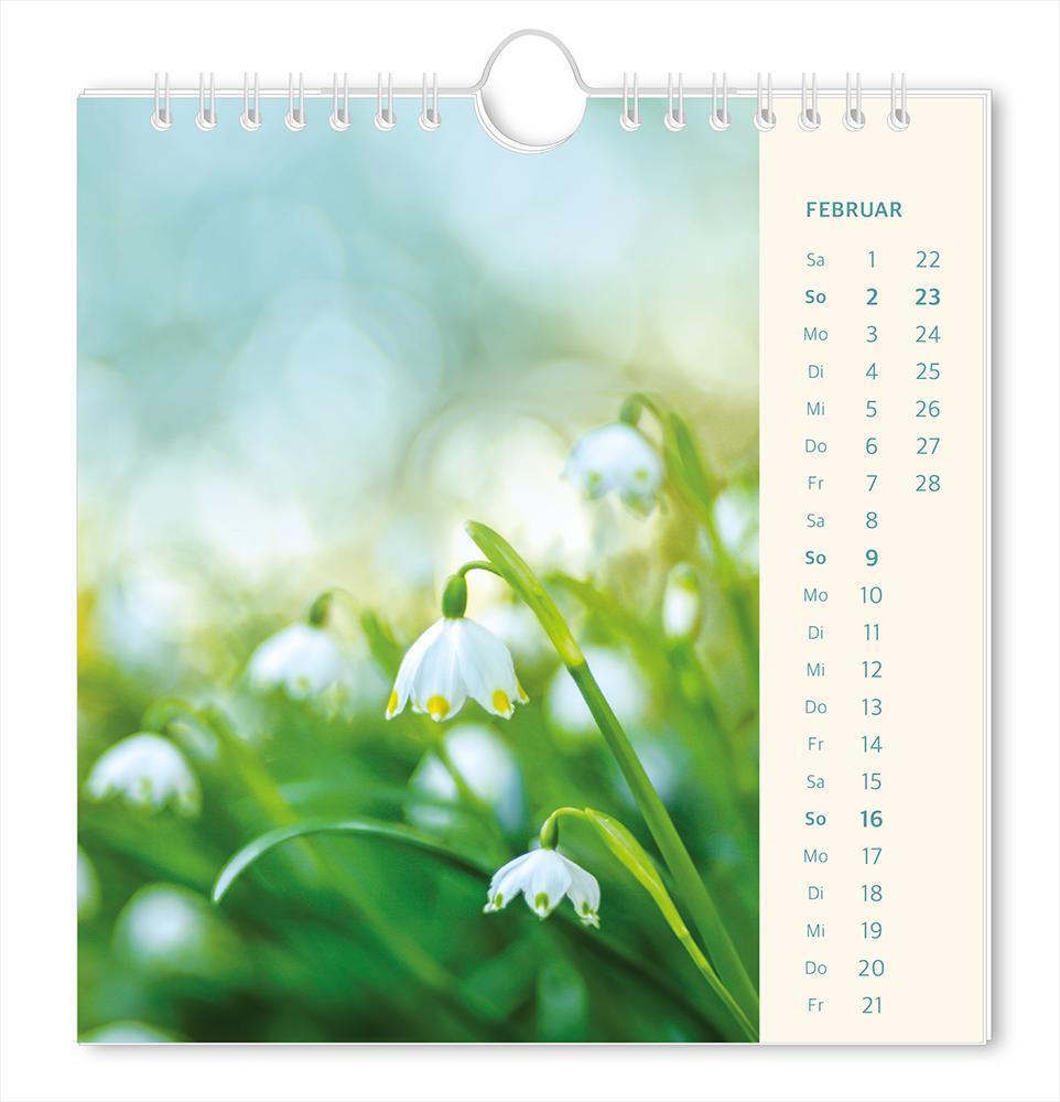 Bild: 9783986361204 | Postkartenkalender 2025 Lichtblicke | Postkartenkalender | Original