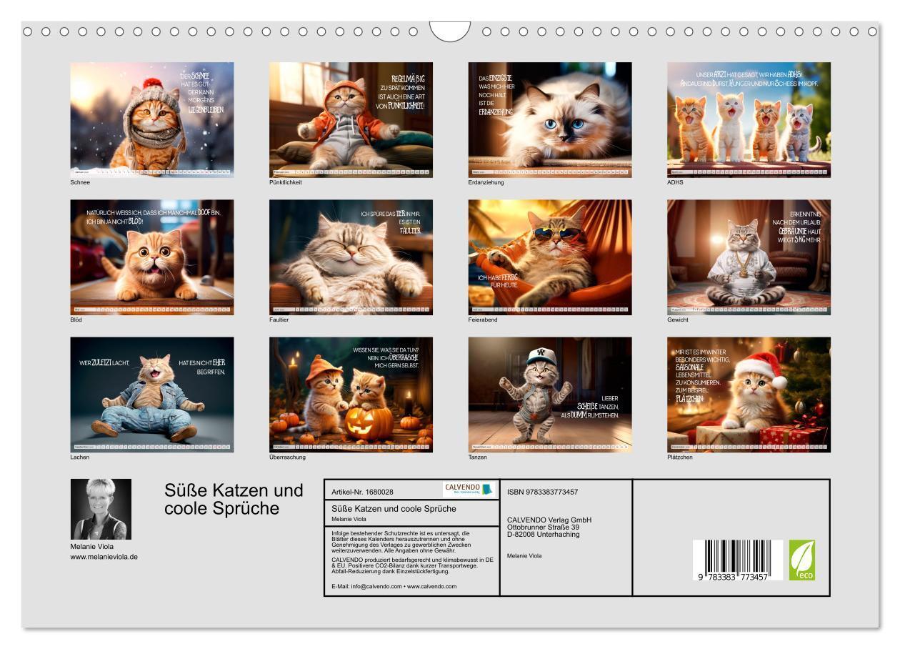 Bild: 9783383773457 | Süße Katzen und coole Sprüche (Wandkalender 2025 DIN A3 quer),...