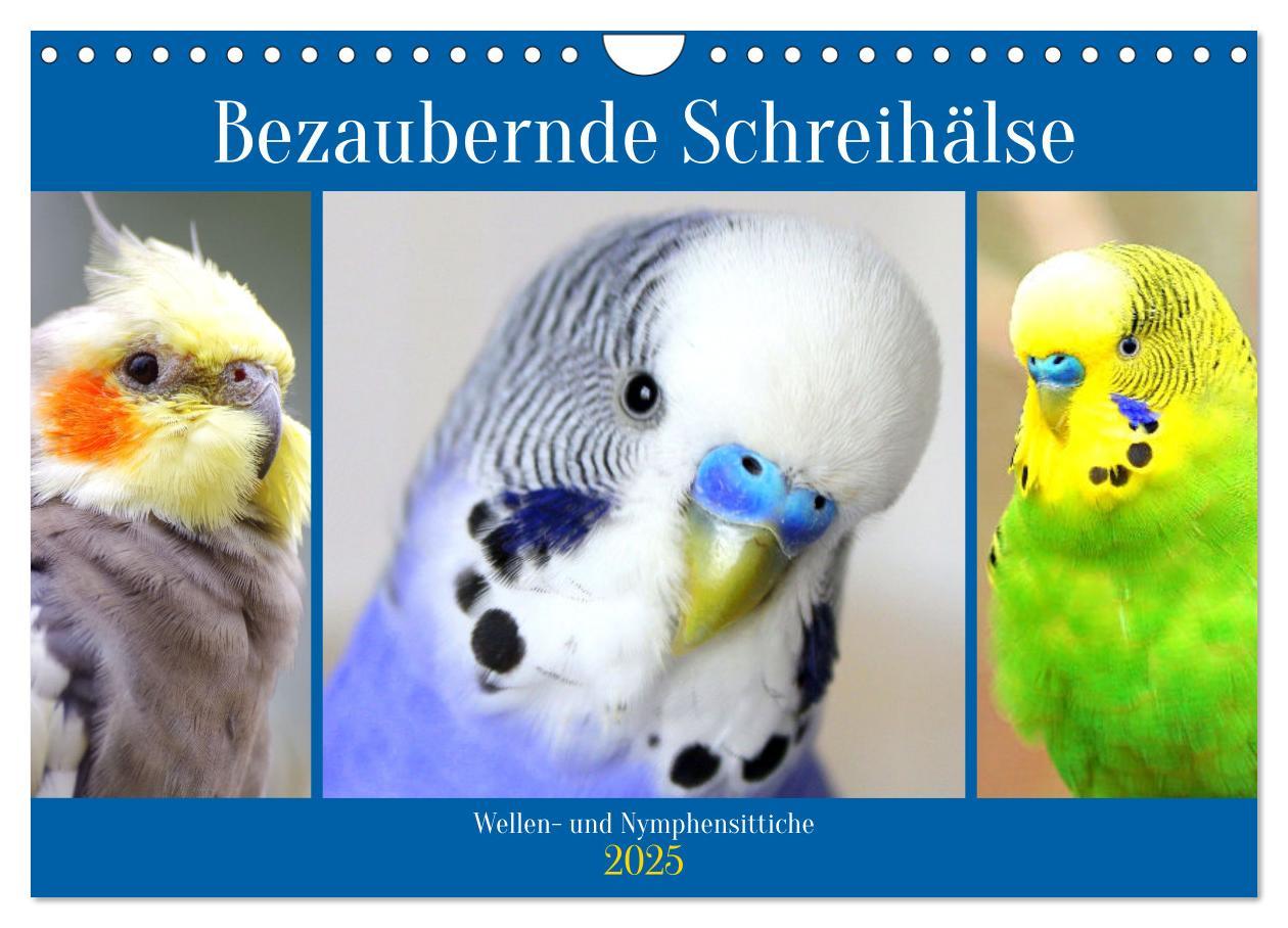 Cover: 9783435026746 | Bezaubernde Schreihälse. Wellen- und Nymphensittiche (Wandkalender...