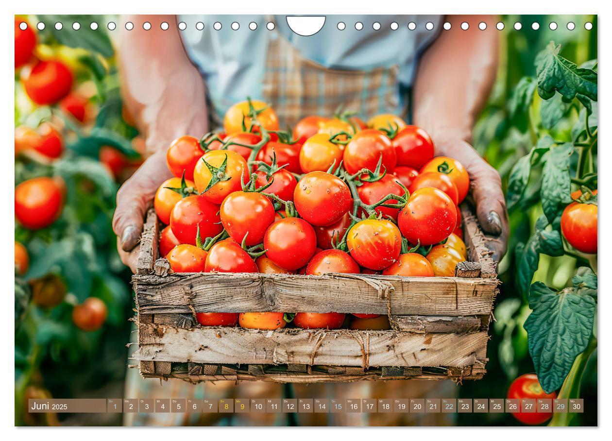 Bild: 9783383795572 | Mein Gemüsegarten - Ein Jahr knackig frisches Gemüse (Wandkalender...