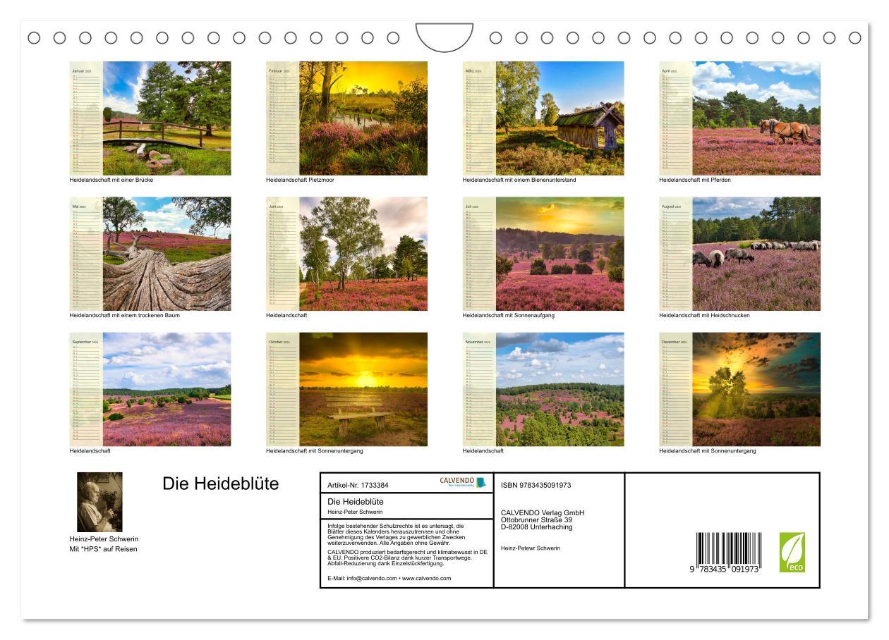 Bild: 9783435091973 | Die Heideblüte (Wandkalender 2025 DIN A4 quer), CALVENDO...