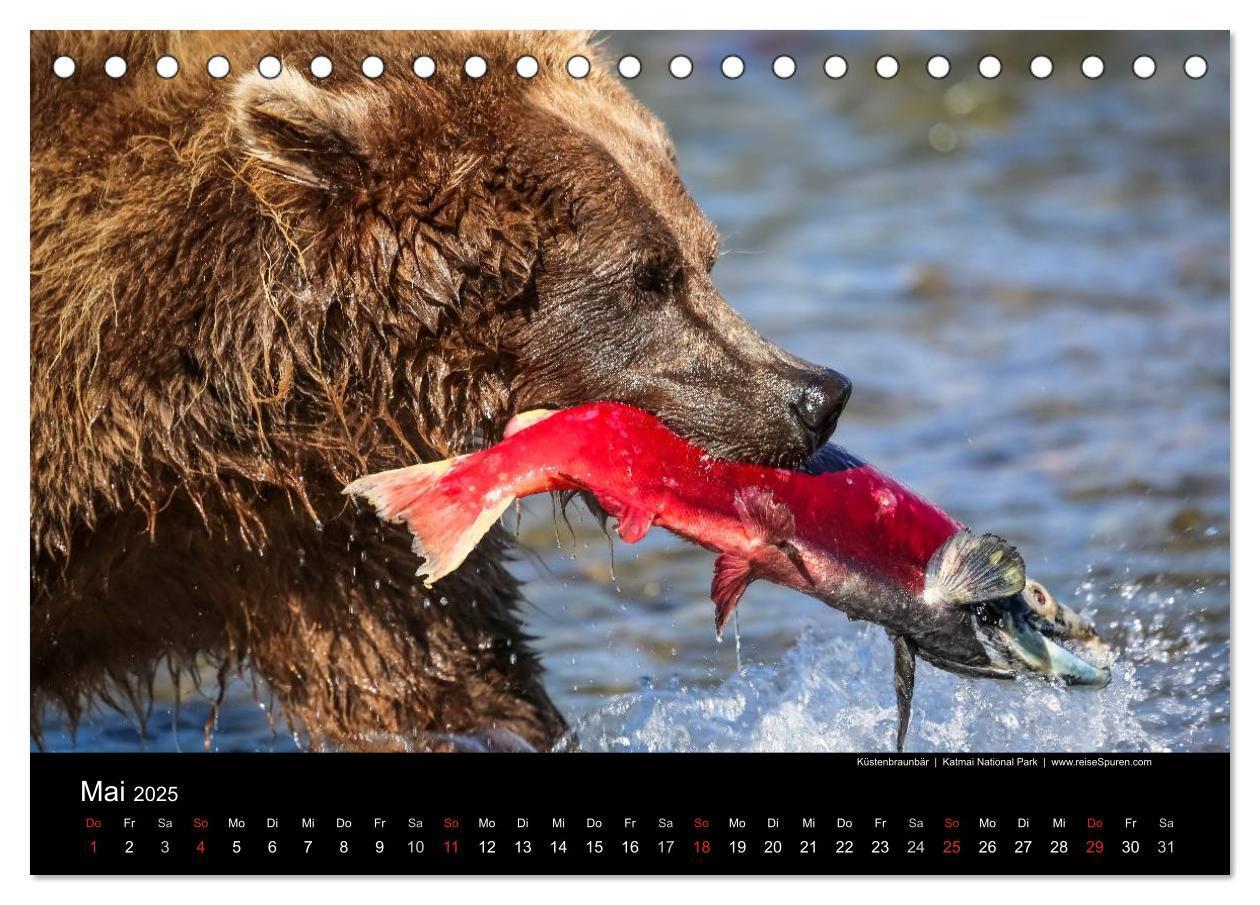 Bild: 9783435635436 | Alaska 2025 Wildes Land am Ende der Welt (Tischkalender 2025 DIN A5...