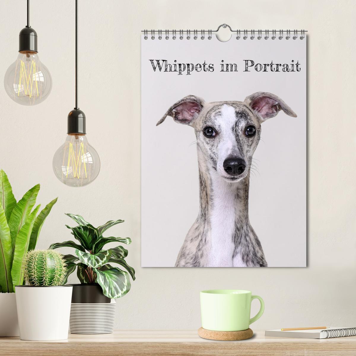 Bild: 9783435859023 | Whippets im Portrait (Wandkalender 2025 DIN A4 hoch), CALVENDO...