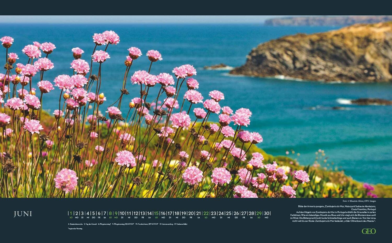 Bild: 4002725988720 | GEO Augenblicke in der Natur 2025 - Wand-Kalender - Reise-Kalender...